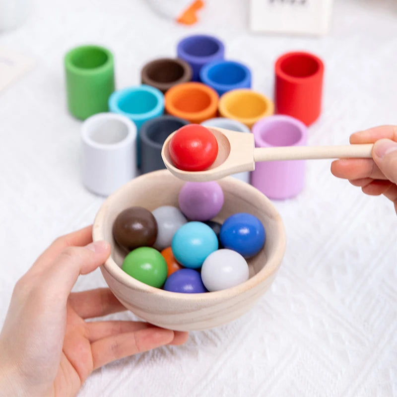 - Montessori Wooden Balls in Cups Sorter - Rainbow Colour Sorting Game Baby Stork Baby & Kids > Toys