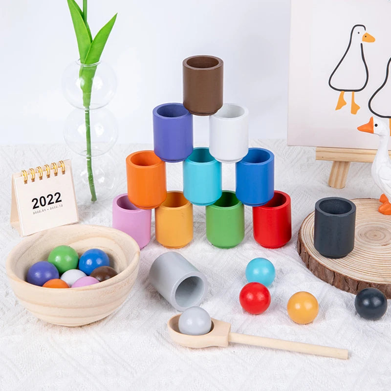 - Montessori Wooden Balls in Cups Sorter - Rainbow Colour Sorting Game Baby Stork Baby & Kids > Toys