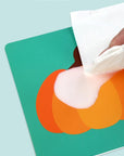 Bright Minds Baby Vision Flash Cards: Unlocking the Power of Right Brain Learning Baby Stork