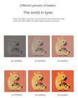 Bright Minds Baby Vision Flash Cards: Unlocking the Power of Right Brain Learning Baby Stork