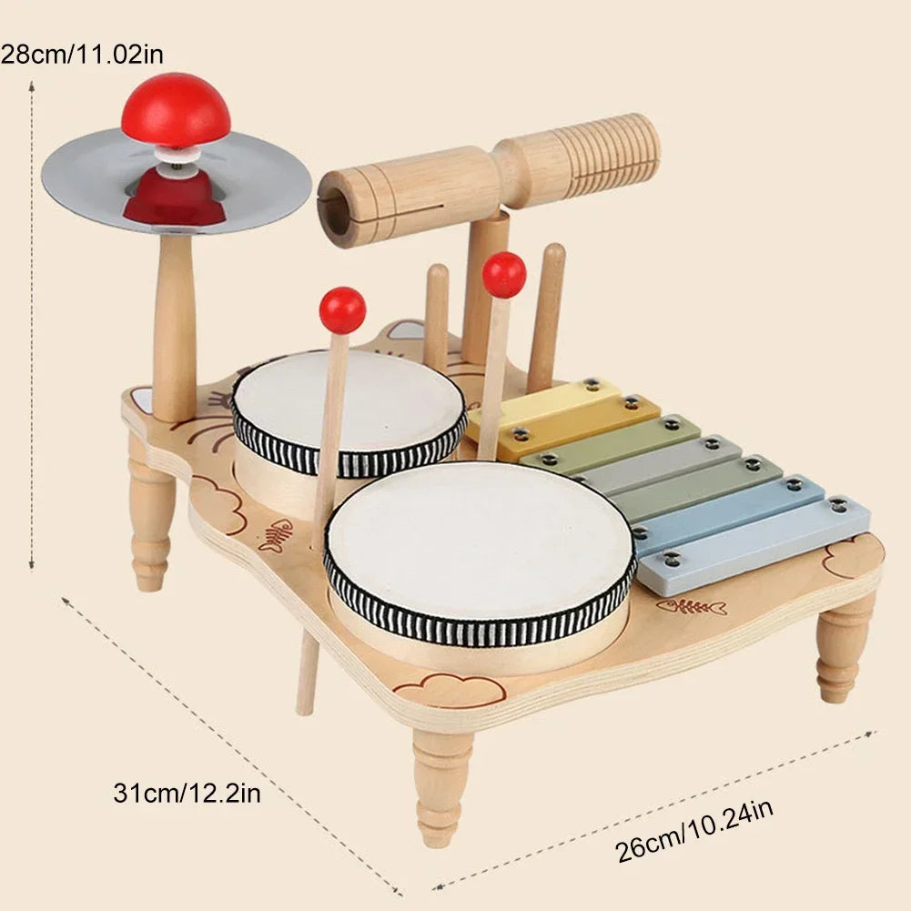 - My First Drum, Xylophone, and Percussion Set Baby Stork Musical Toy