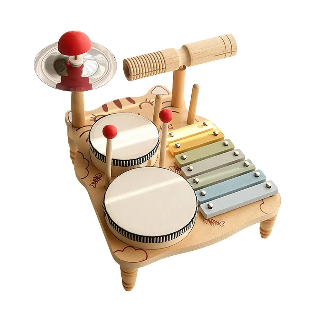 - My First Drum, Xylophone, and Percussion Set Baby Stork Musical Toy