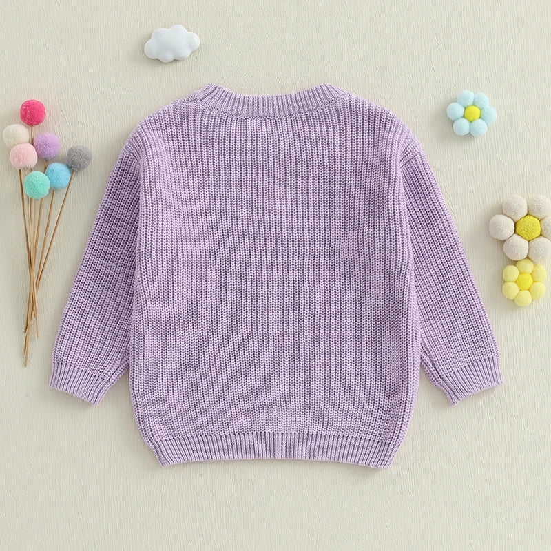 - Big Sister Embroidered Knit Sweater Baby Stork