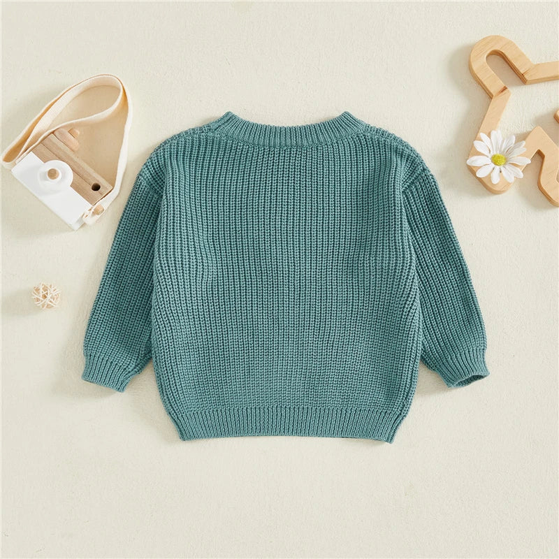 - Big Brother Embroidered Knit Sweater Baby Stork