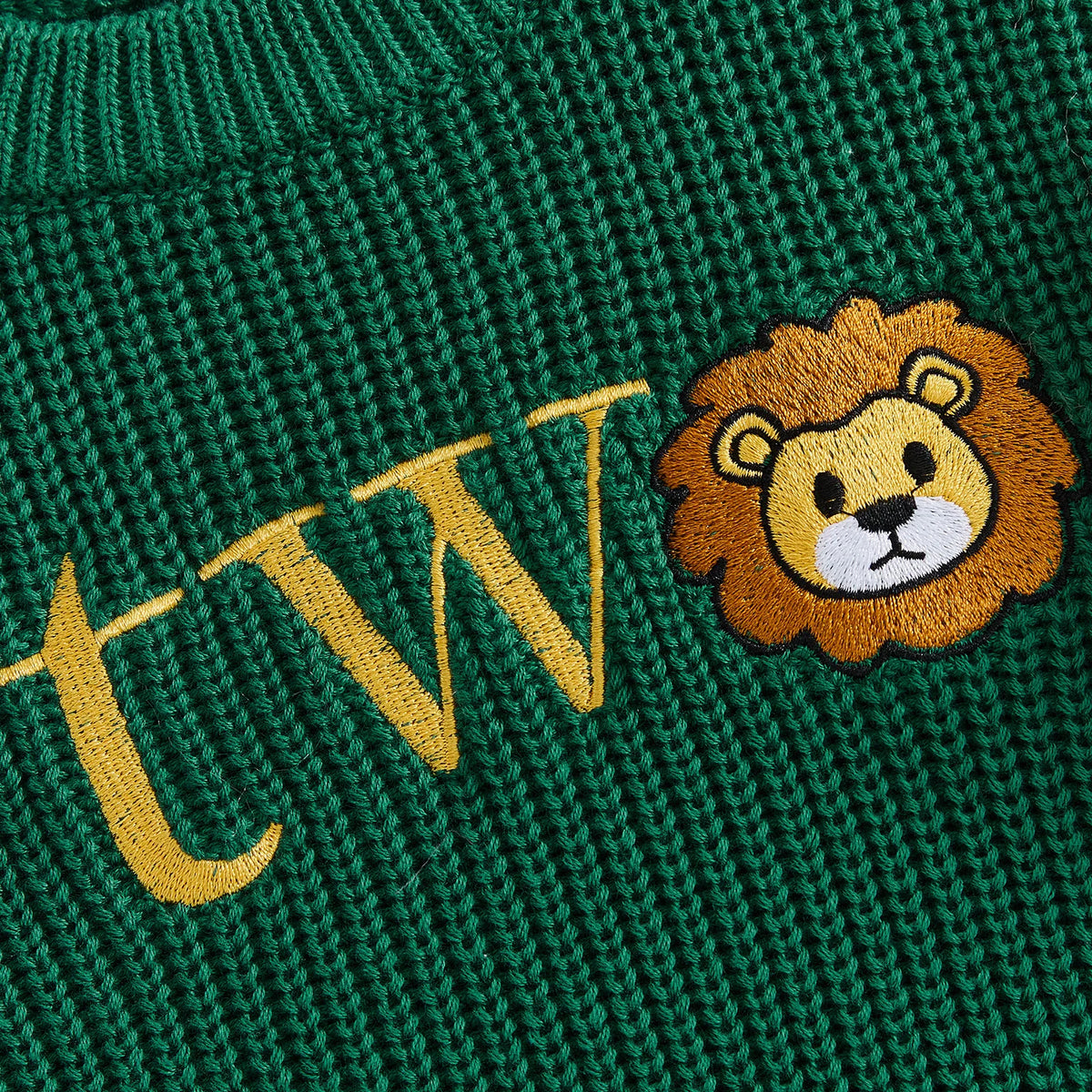 Two Birthday Lion Knit Jumper | Green